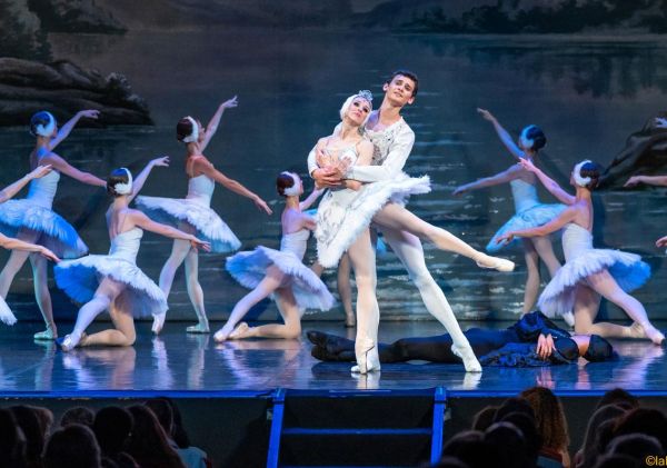 Swan Lake. International Classical Ballet | P.I. Tchaikovsky