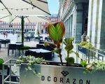 Restaurante Dcorazon